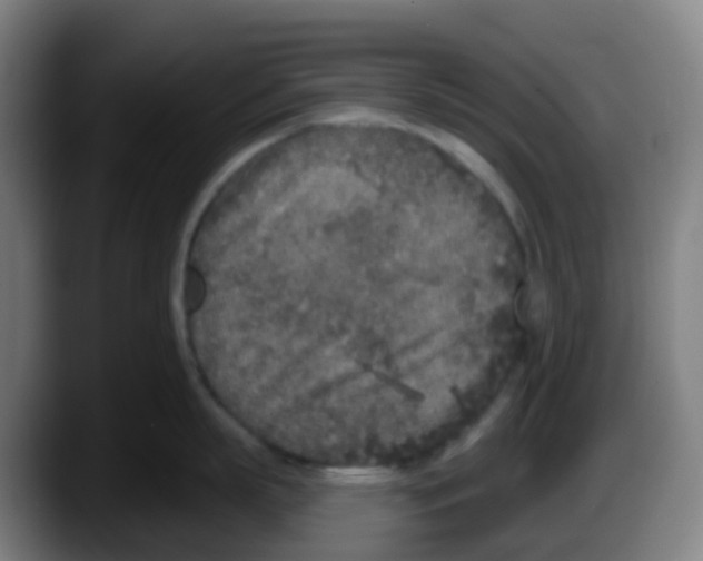 X0000087610863200705251941