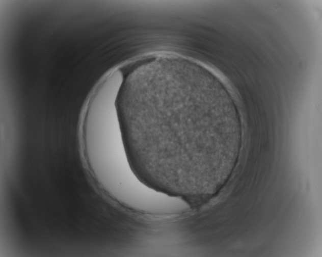 X0000087610864200705251941