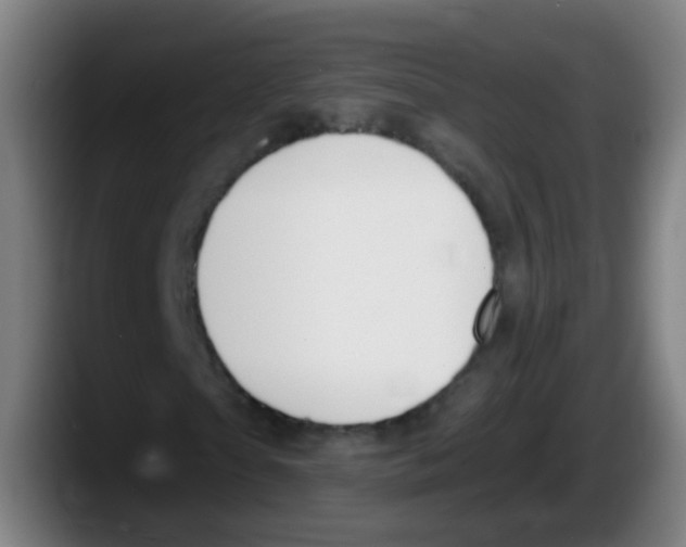 X0000087610865200705251940