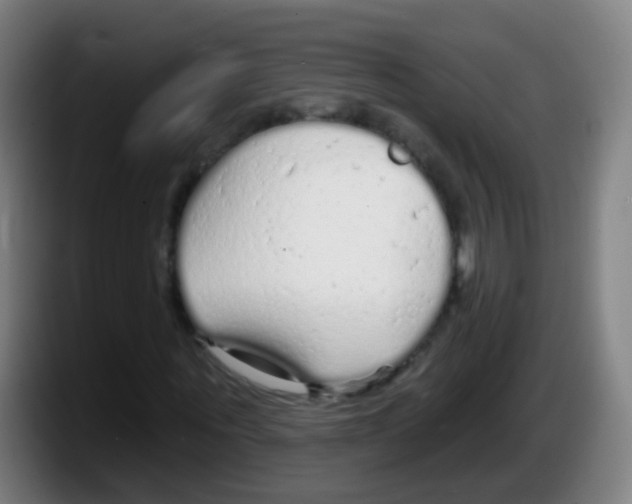 X0000087610867200705251940