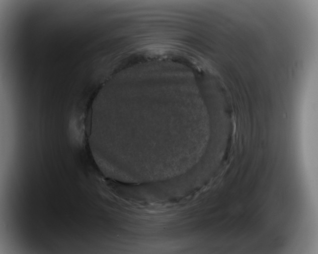 X0000087610868200705251940