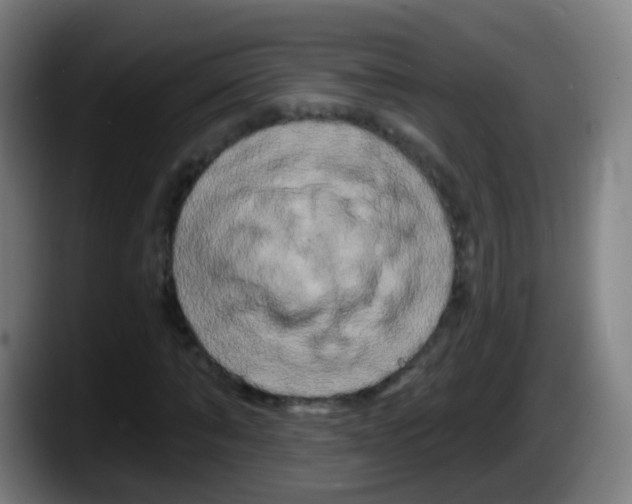 X0000087610870200705251940