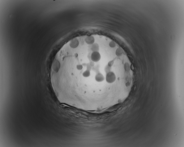 X0000087610871200705251940