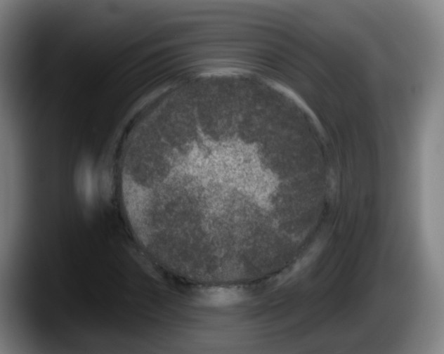 X0000087610874200705251940