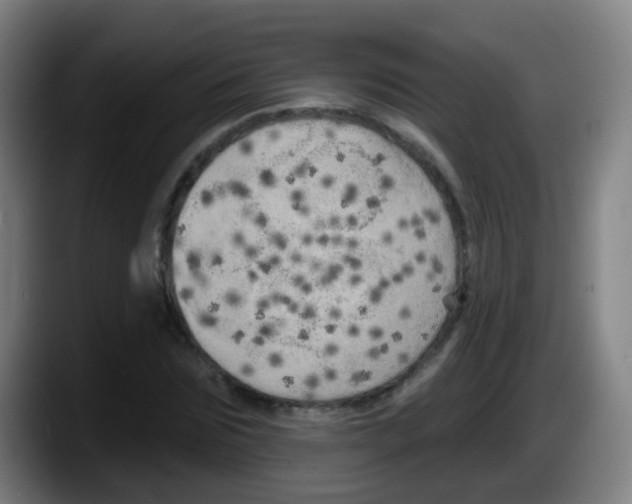 X0000087610875200705251940