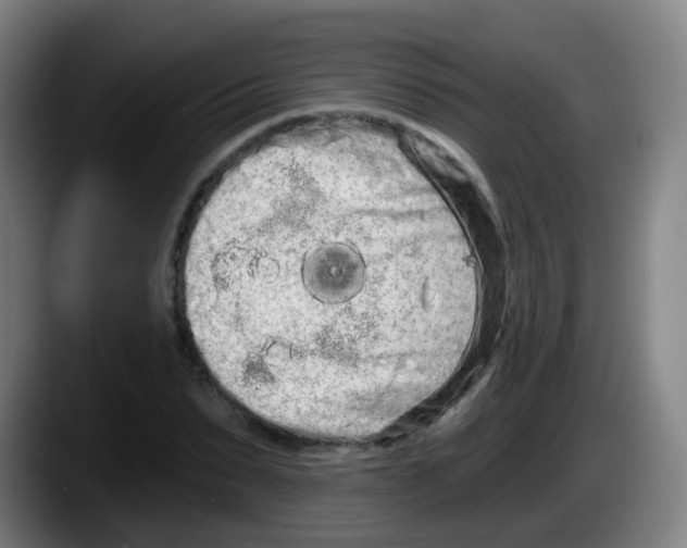 X0000087610879200705251940