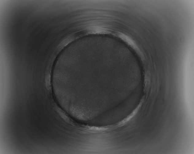 X0000087610881200705251940