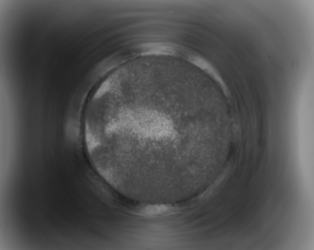 X0000087610882200705251940