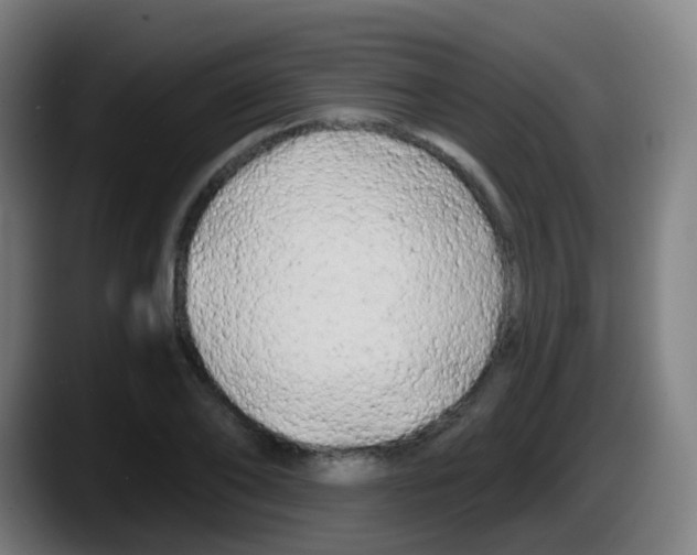 X0000087610886200705251940