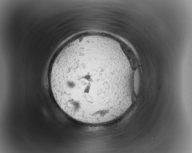 X0000087610887200705251940