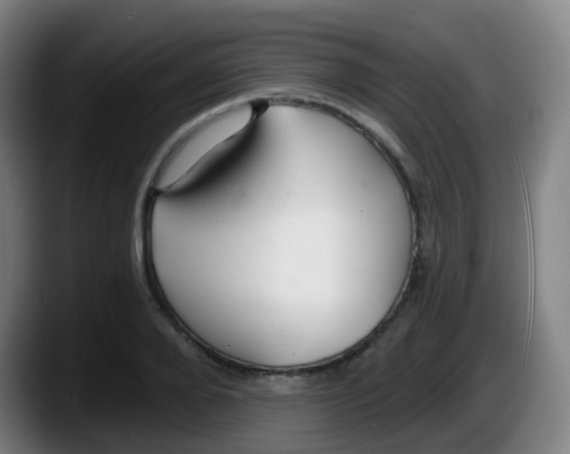 X0000087610888200705251940