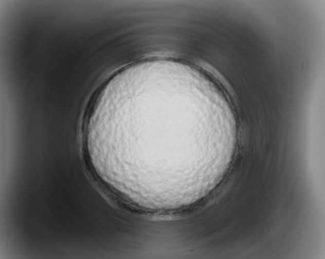 X0000087610890200705251940