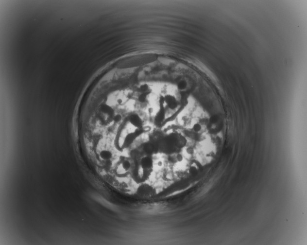 X0000087610891200705251940