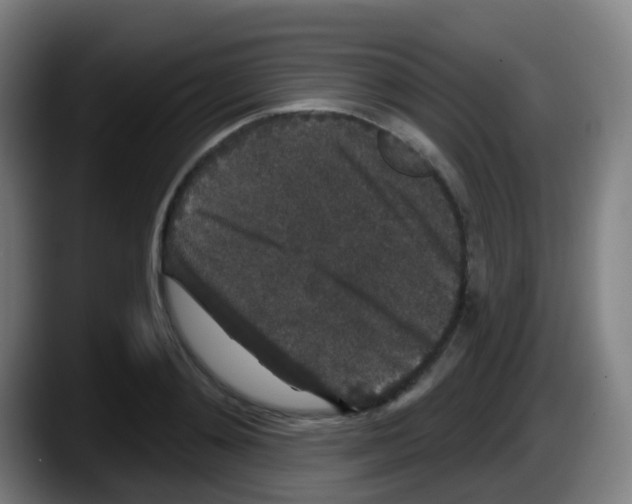 X0000087610892200705251940