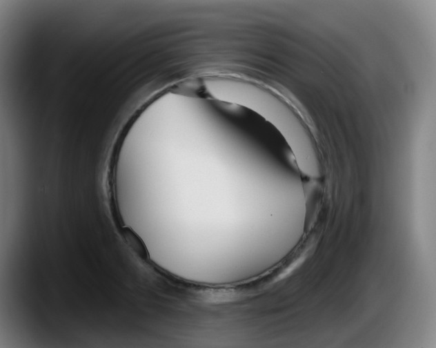 X0000087610893200705251940