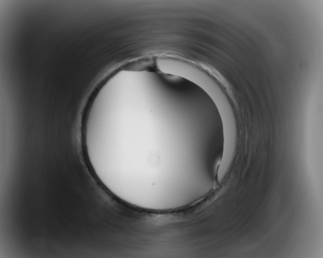 X0000087610894200705251940