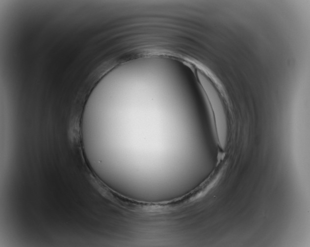 X0000087610897200705251940