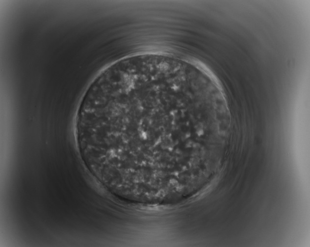 X0000087610899200705251940