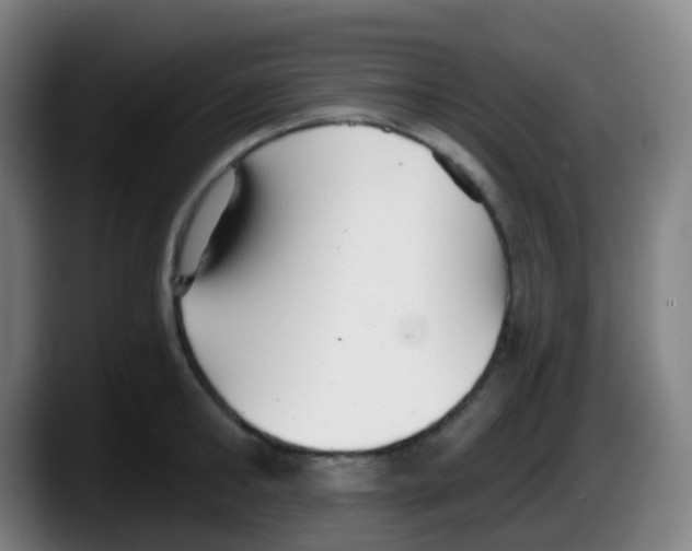 X0000087610902200705251940