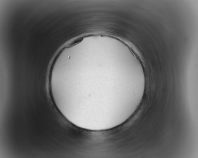 X0000087610904200705251940