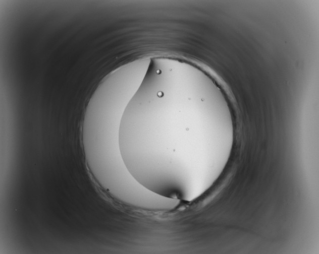 X0000087610905200705251940