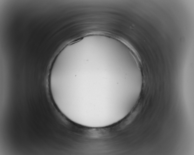 X0000087610906200705251940