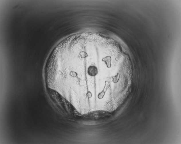 X0000087610907200705251940