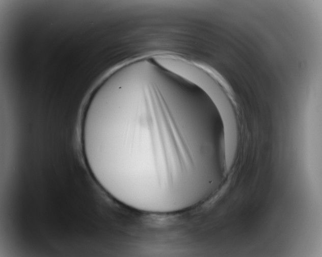 X0000087610910200705251940