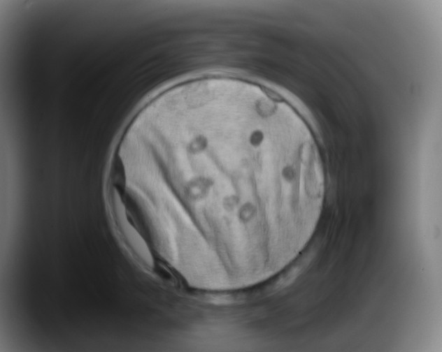 X0000087610911200705251940