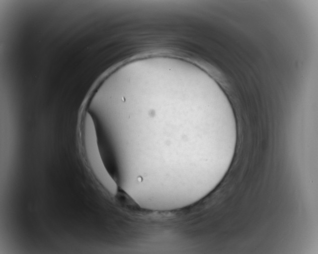 X0000087610912200705251940