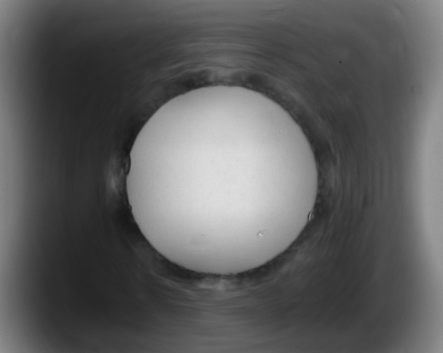 X0000087610914200705251939