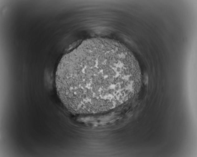 X0000087610915200705251939