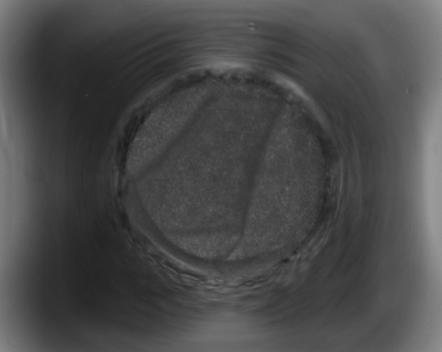 X0000087610919200705251939