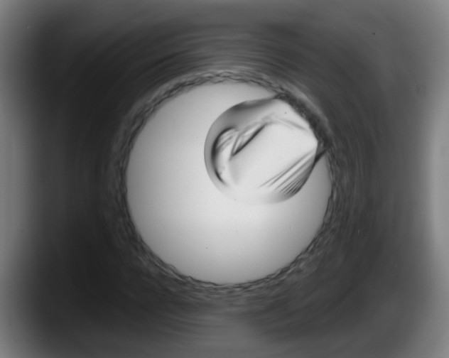 X0000087610920200705251939