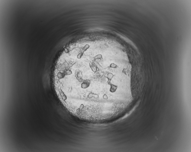 X0000087610921200705251939