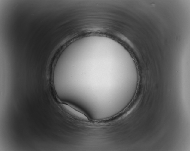 X0000087610922200705251939