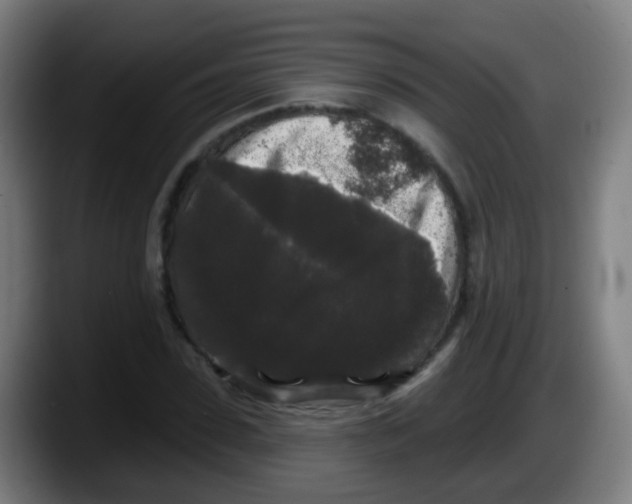 X0000087610923200705251939