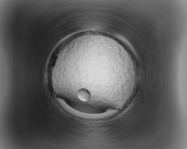 X0000087610924200705251939