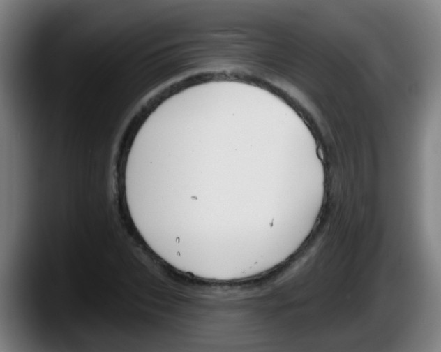 X0000087610927200705251939