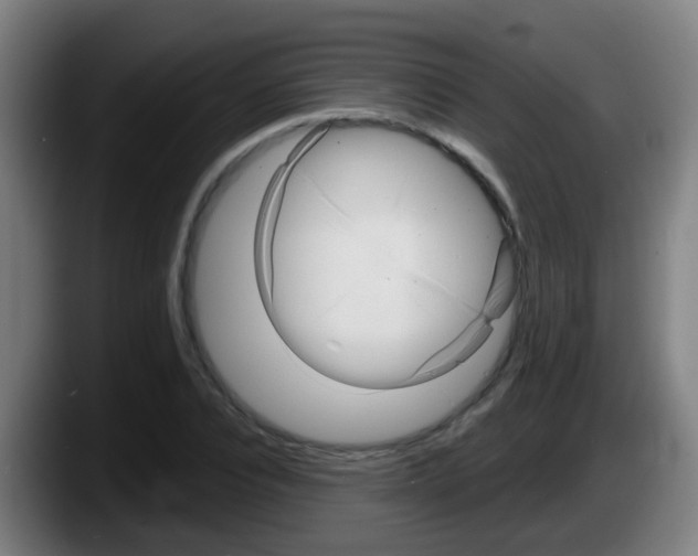 X0000087610928200705251939