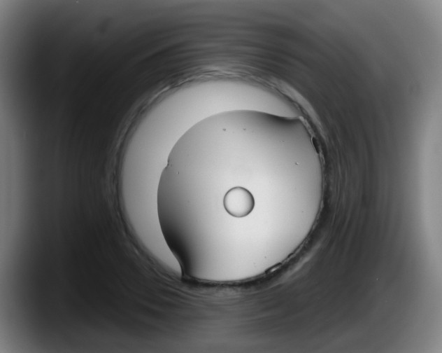 X0000087610930200705251939