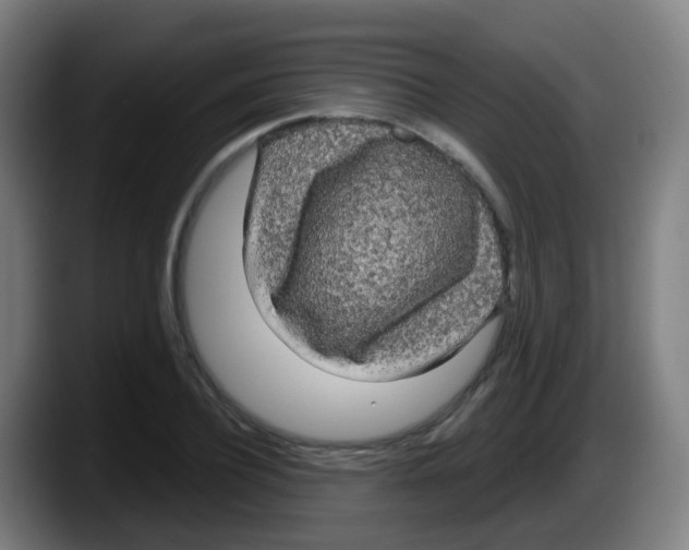 X0000087610932200705251939