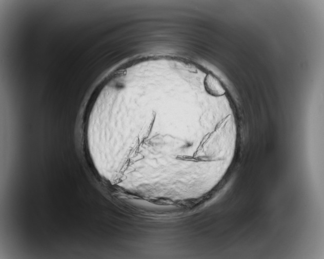 X0000087610933200705251939