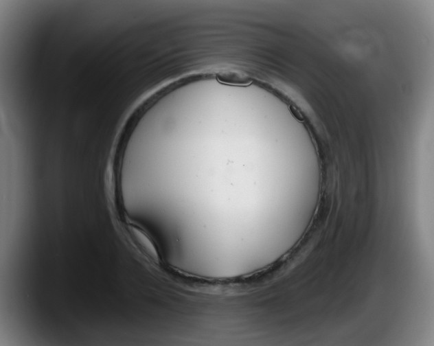 X0000087610936200705251939