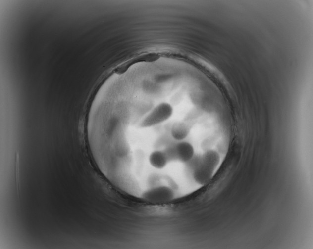 X0000087610937200705251939