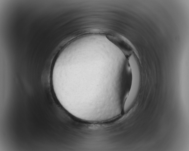 X0000087610938200705251939