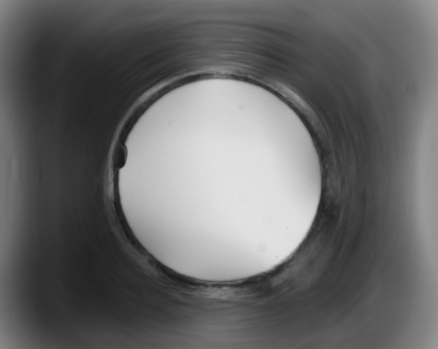 X0000087610940200705251939