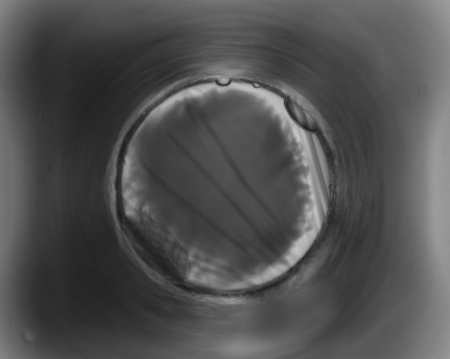 X0000087610941200705251939