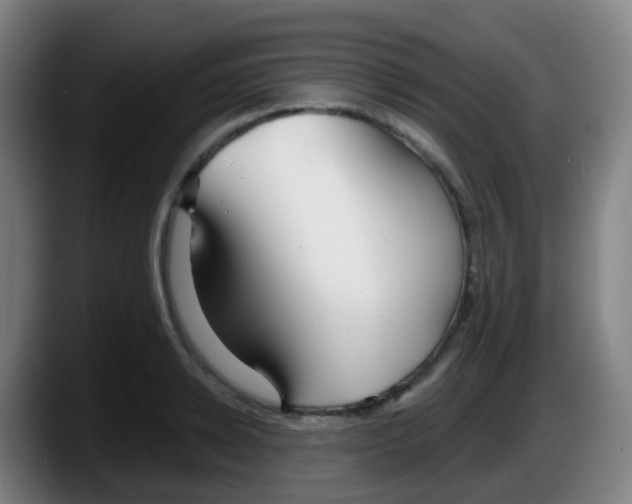 X0000087610942200705251939