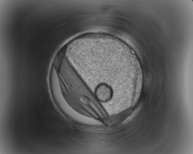 X0000087610943200705251939